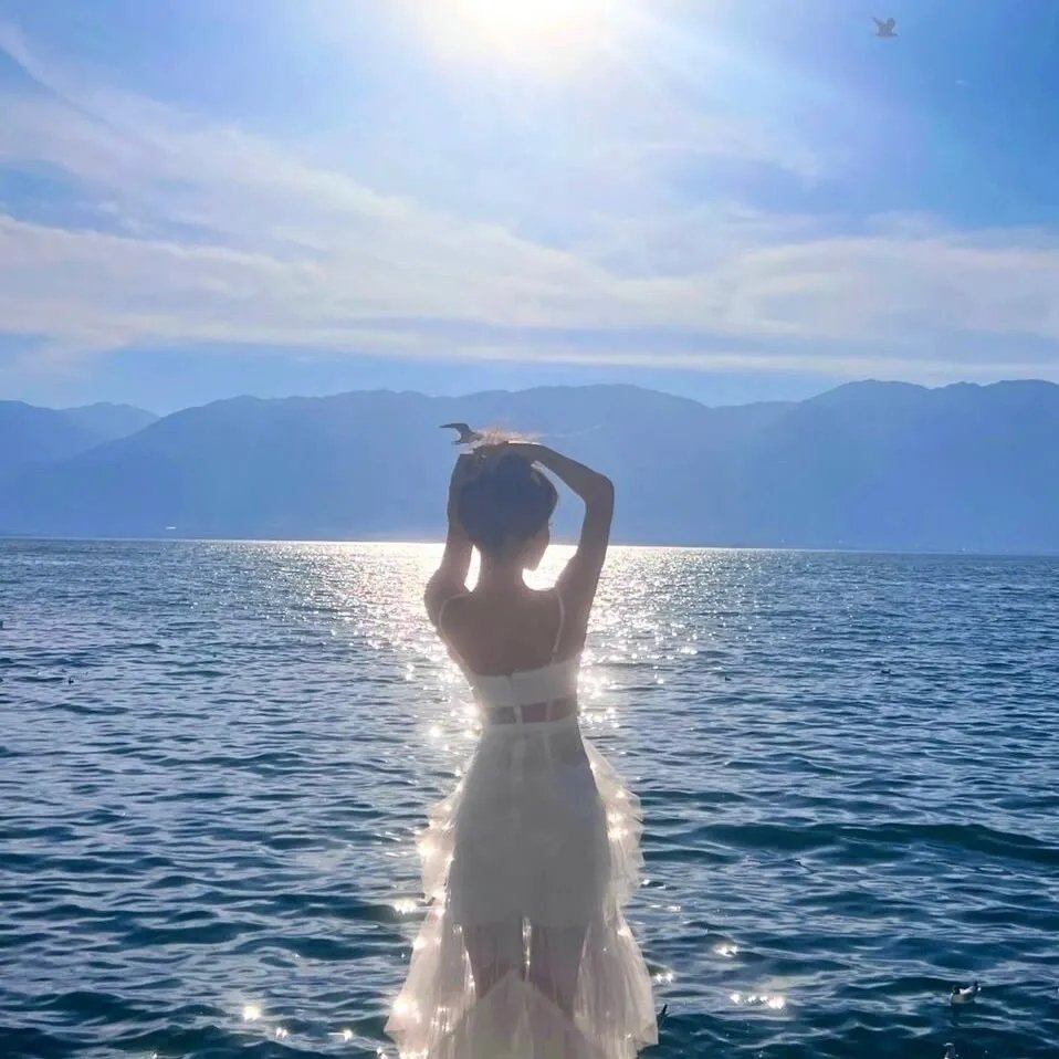 海星